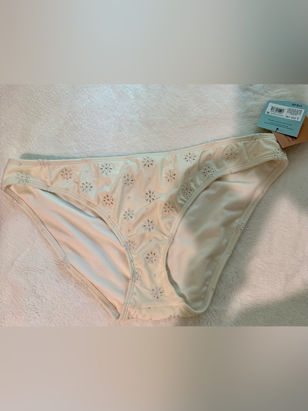 Embroidered Bikini Briefs in Cream NWT
